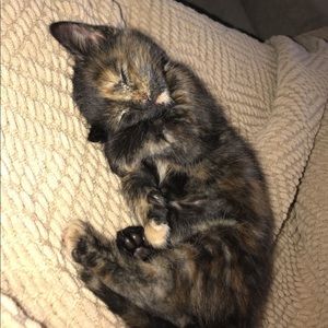 Meet your Posher, Kelsey